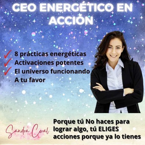 CEO ENERGETICO EN ACCION